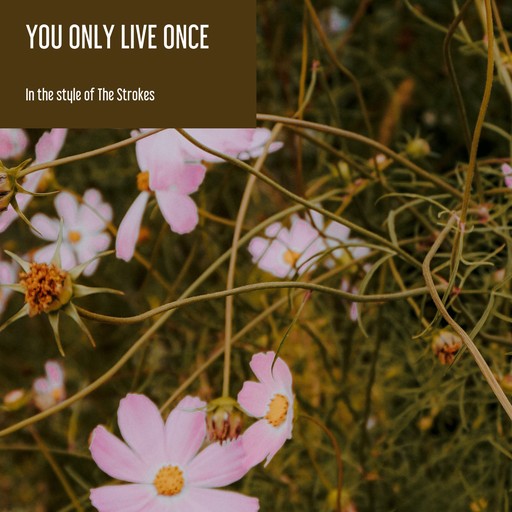 You Only Live Once – The Strokes (album cover, karaoke on Singa)
