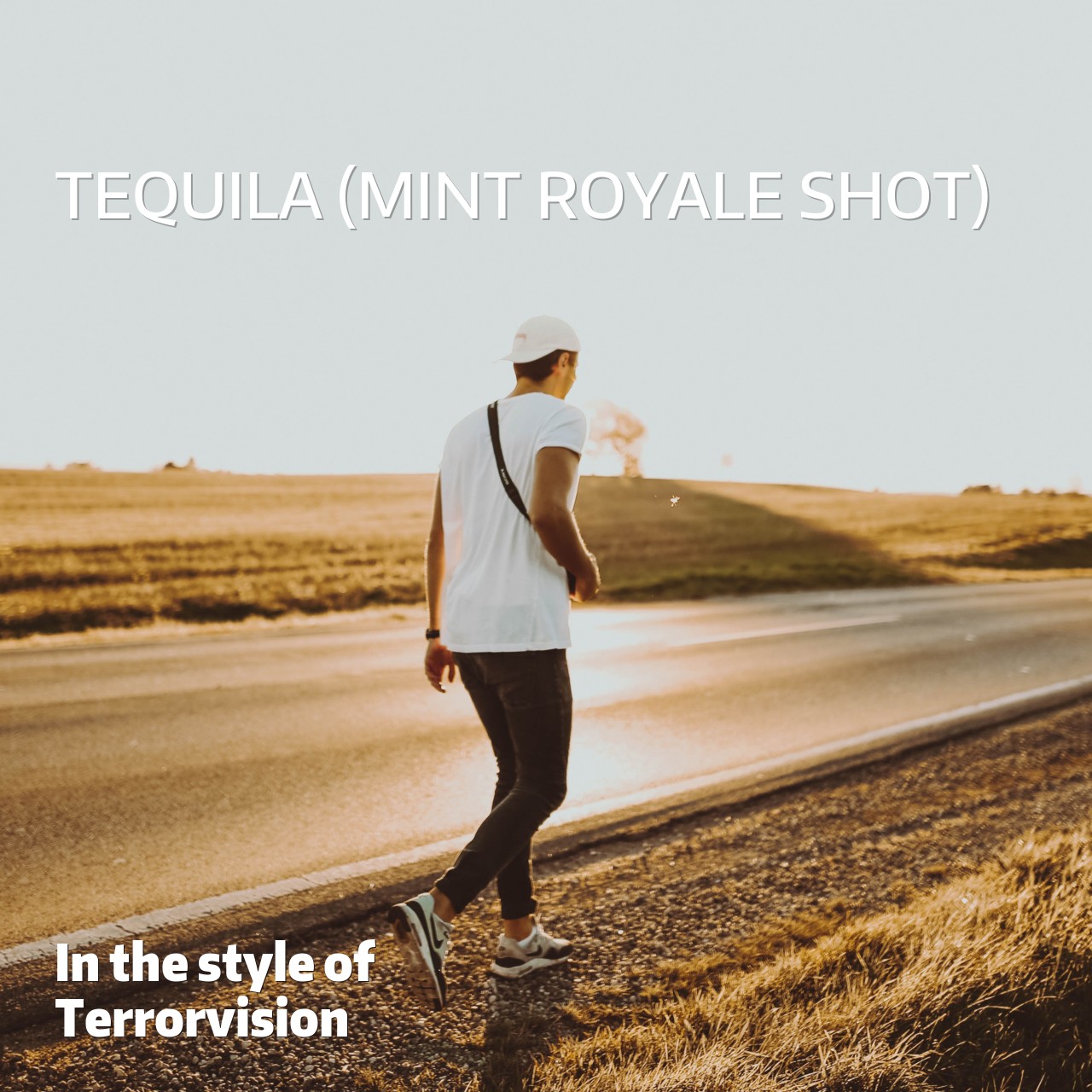 Terrorvision Tequila (mint Royale Shot) Karaoke Singa