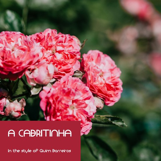 #6 A Cabritinha – Quim Barreiros (album cover, karaoke on Singa)