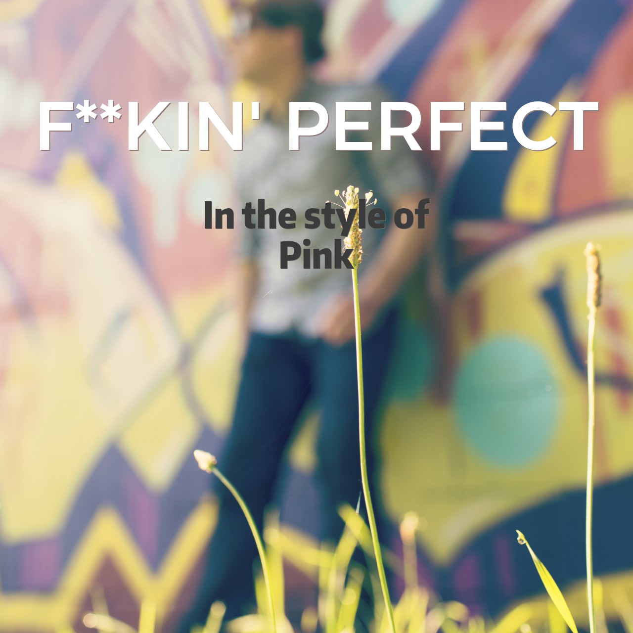 Pink F**kin' Perfect Karaoke Singa