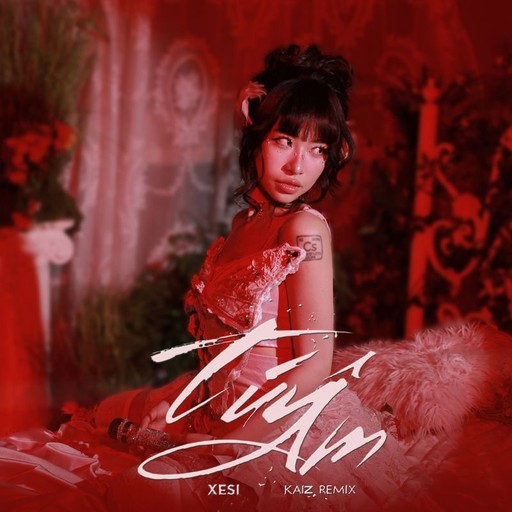 #22 Túy Âm Remix – Xesi (album cover, karaoke on Singa)