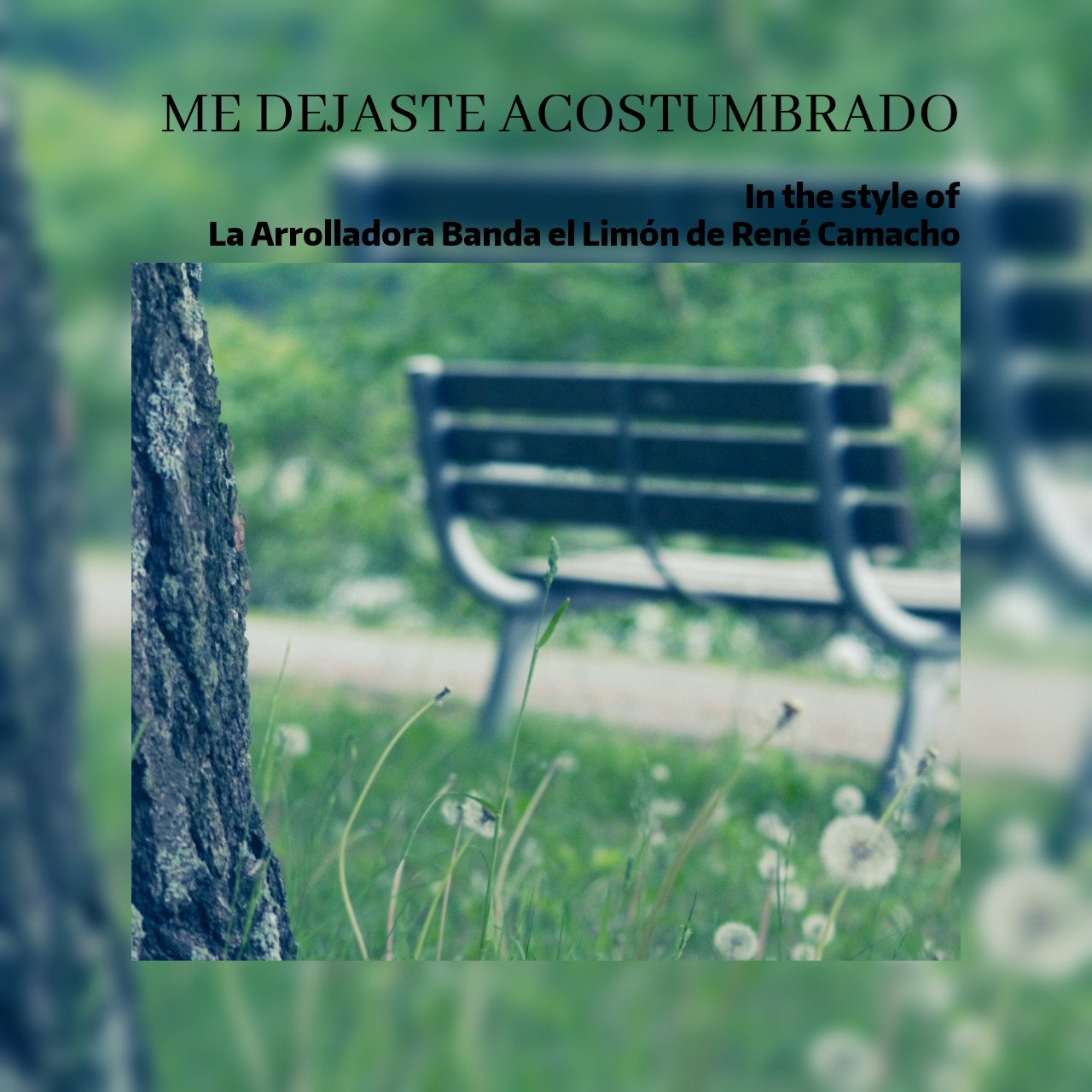 La Arrolladora Banda El Limon De Rene Camacho Me Dejaste Acostumbrado Sing Karaoke On Singa singa