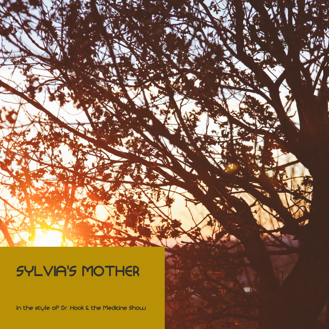 Dr. Hook & the Medicine Show Sylvia's Mother Karaoke Singa