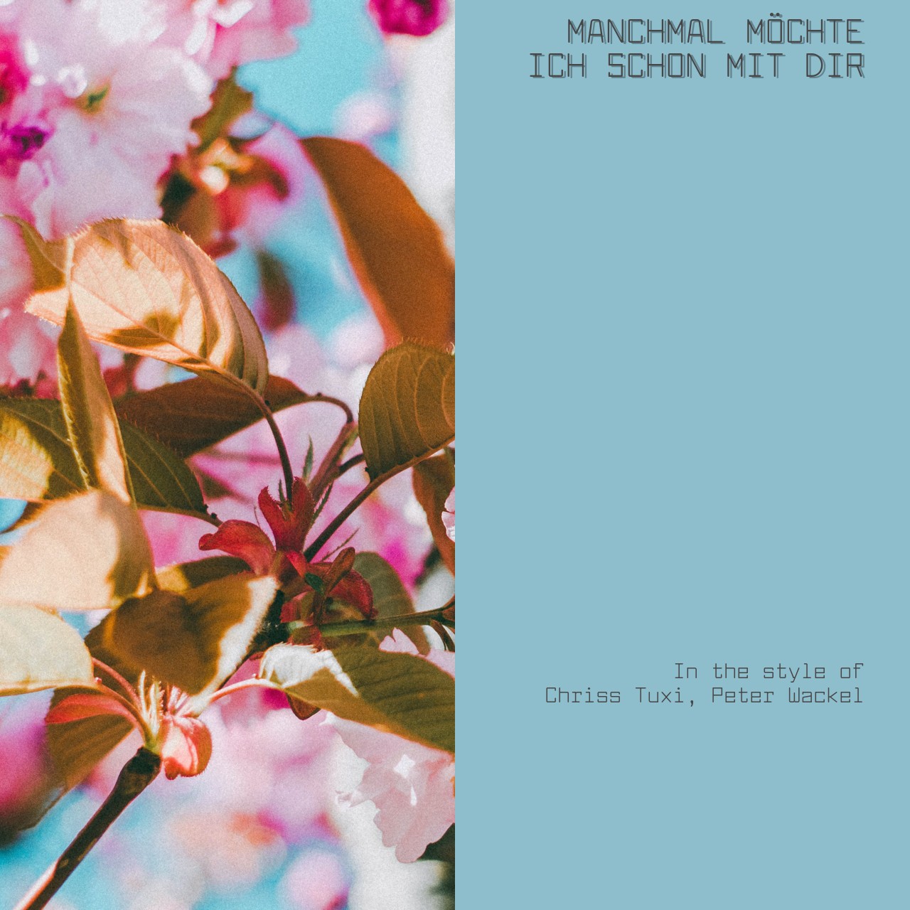 Manchmal Möchte Ich Schon Mit Dir Chriss Tuxi, Peter Wackel - Manchmal Möchte Ich Schon Mit Dir Karaoke
