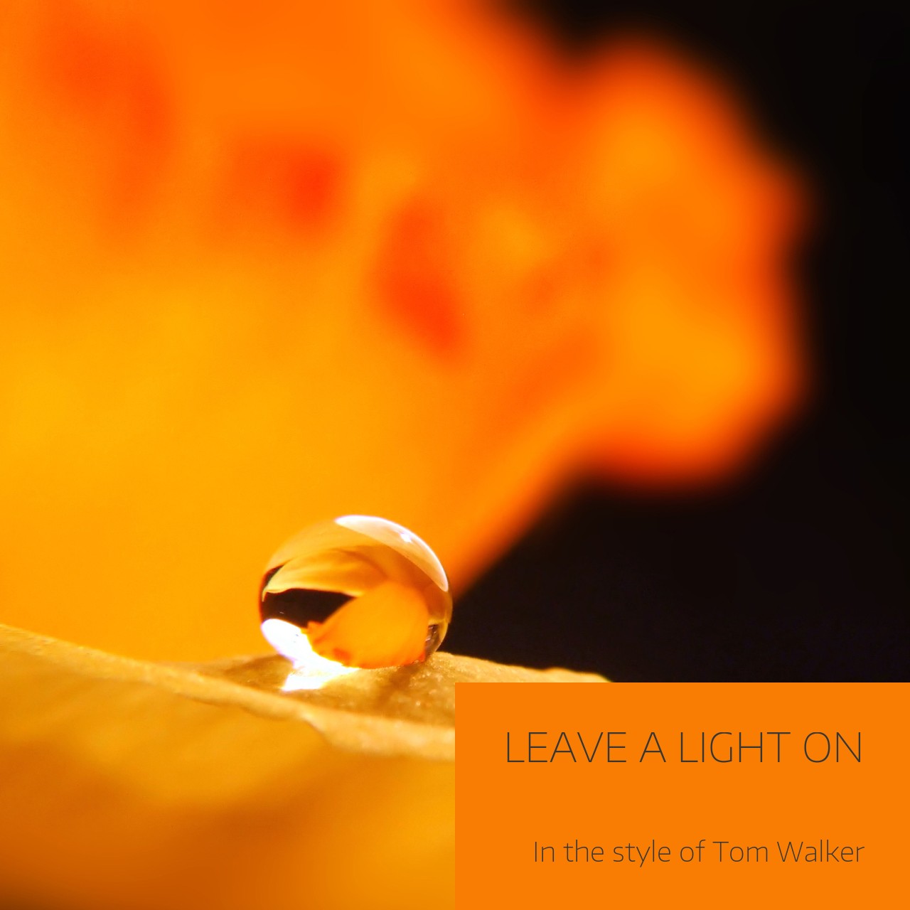 Tom Walker Leave A Light On Karaoke Singa