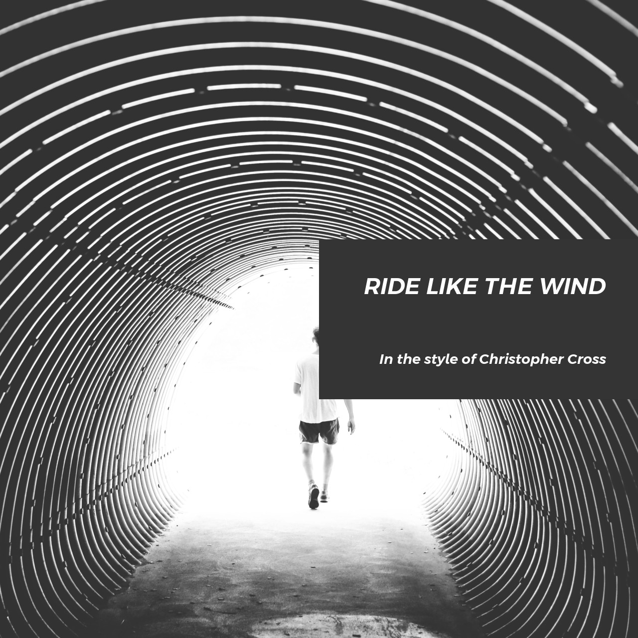 Christopher Cross Ride Like the Wind Karaoke Singa