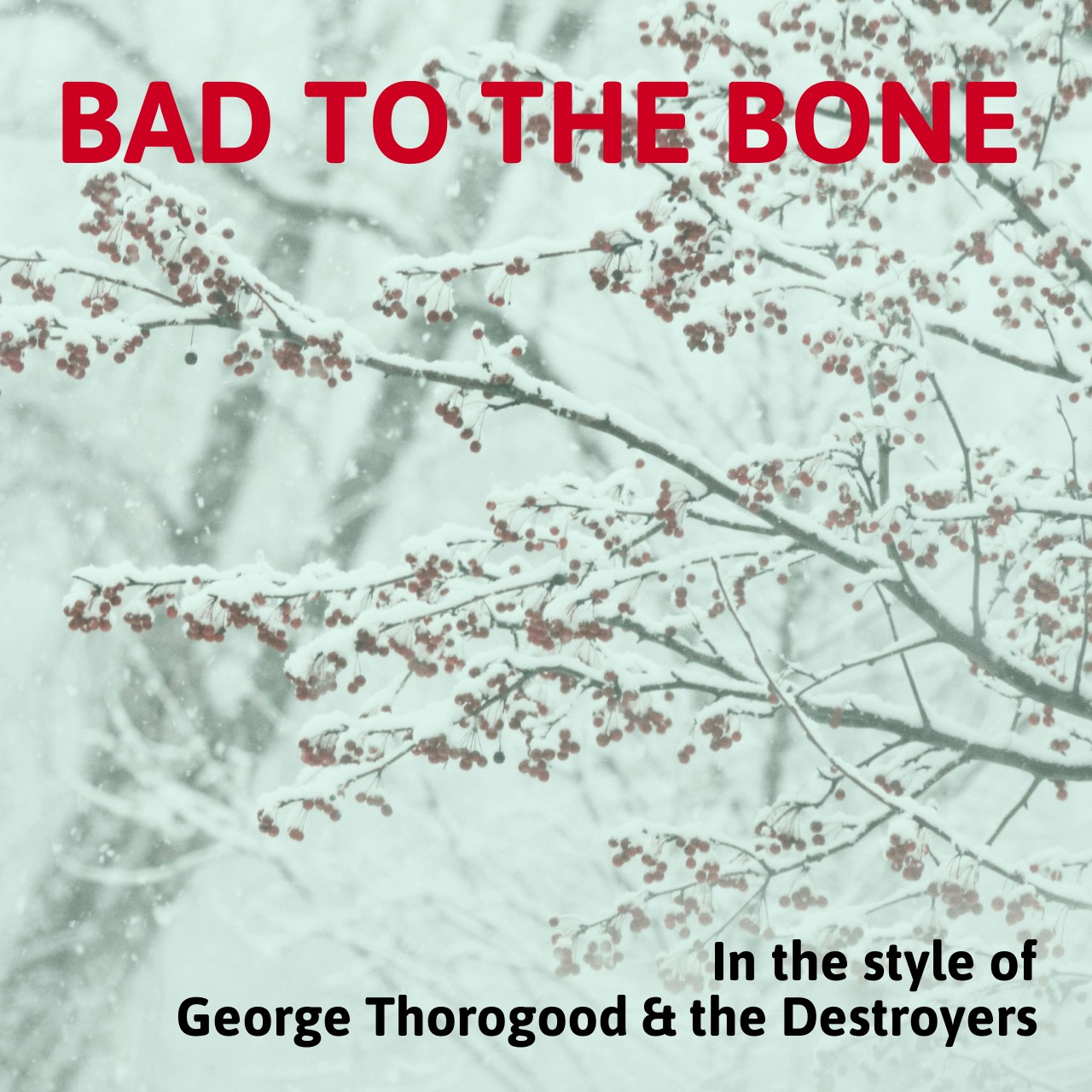 George Thorogood The Destroyers Sing Karaoke On Singa singa