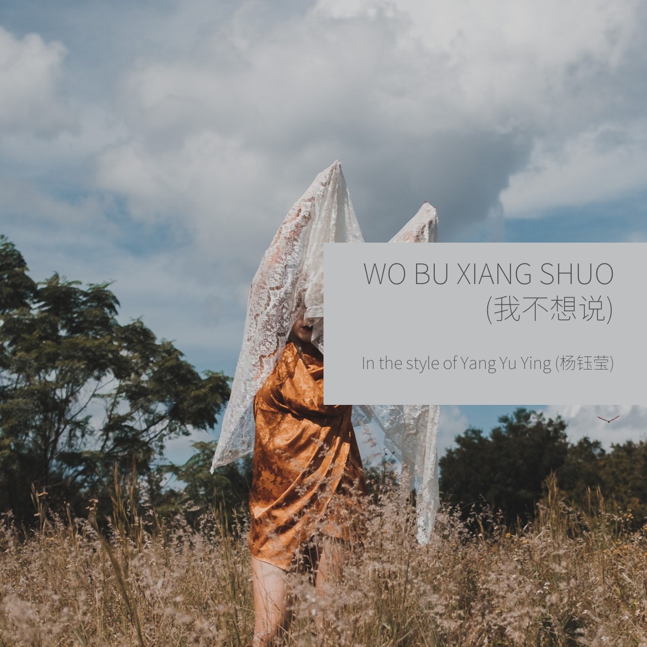Yang Yu Ying (杨钰莹) - 我不想说Karaoke | Singa