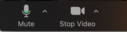 mute and stop video buttons