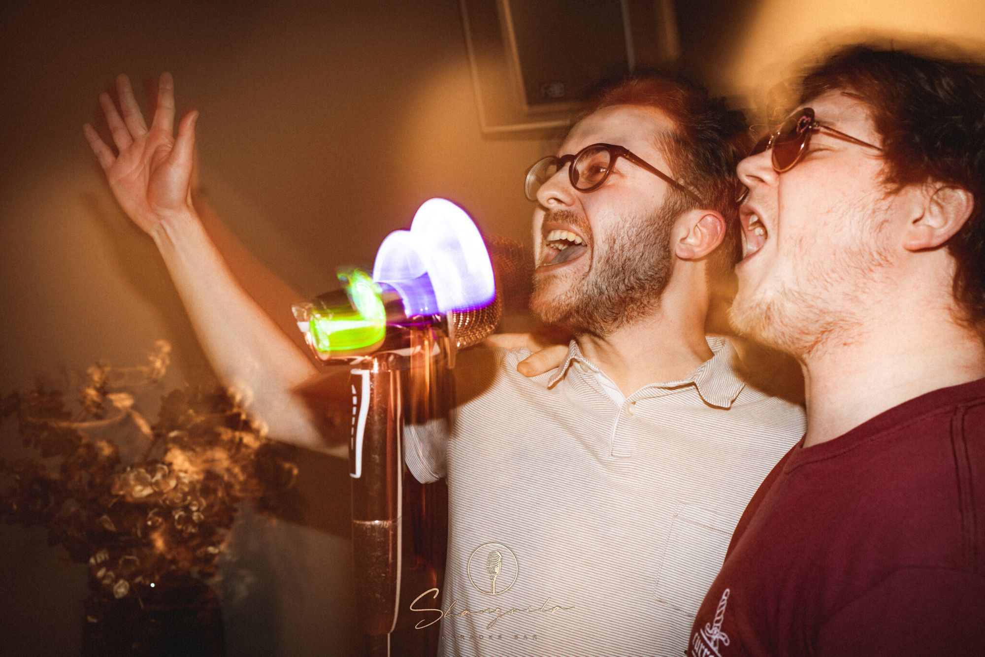 Die 14 besten KaraokeBars in Wien