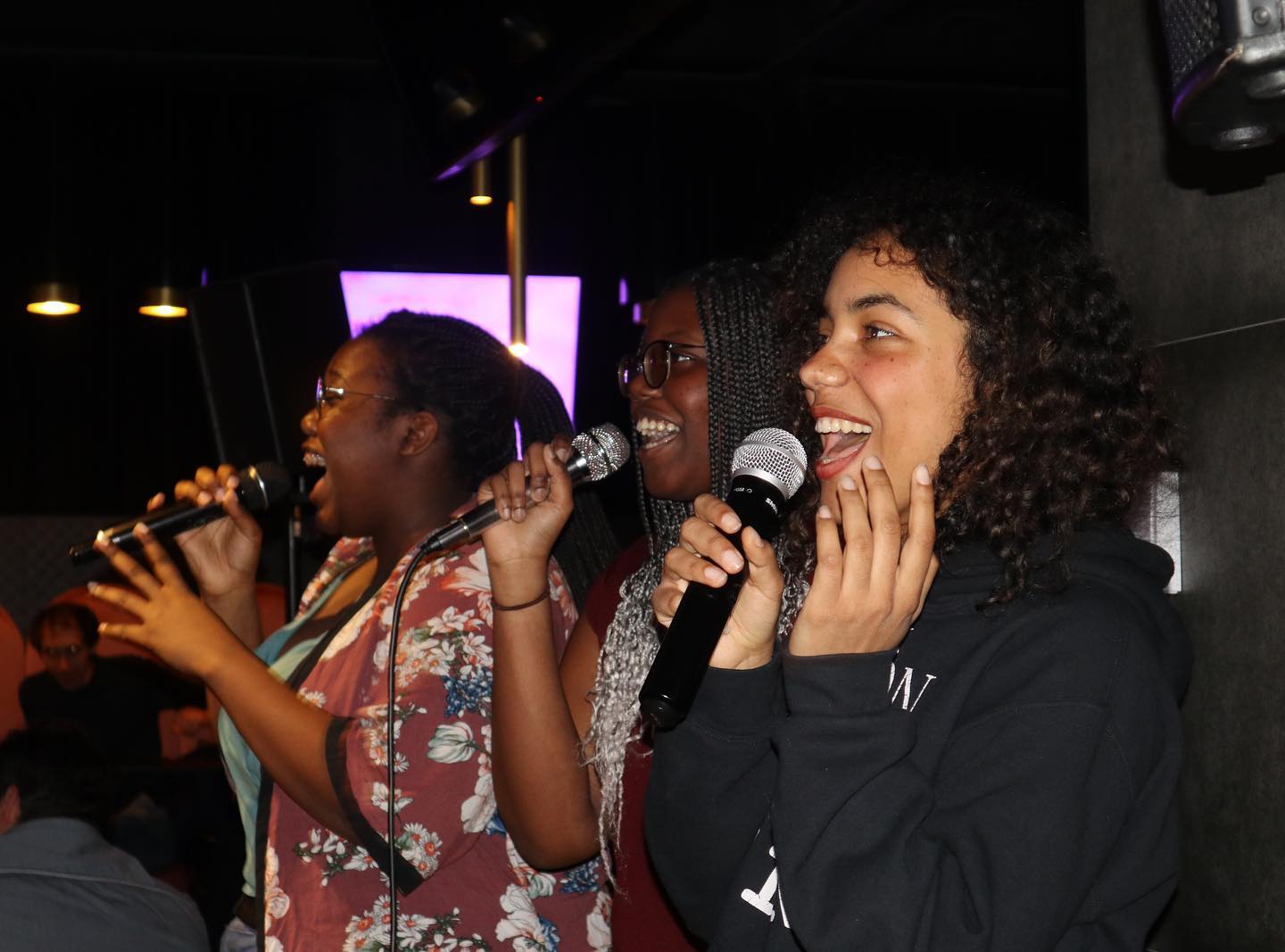 Die 14 besten KaraokeBars in Wien