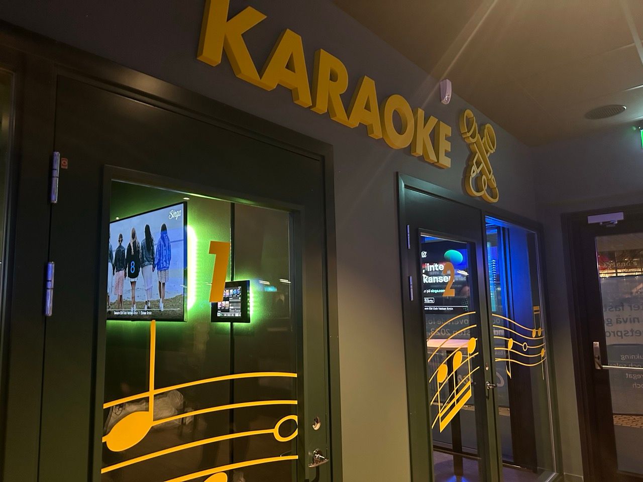 The Karaoke room at O'Learys Tolv