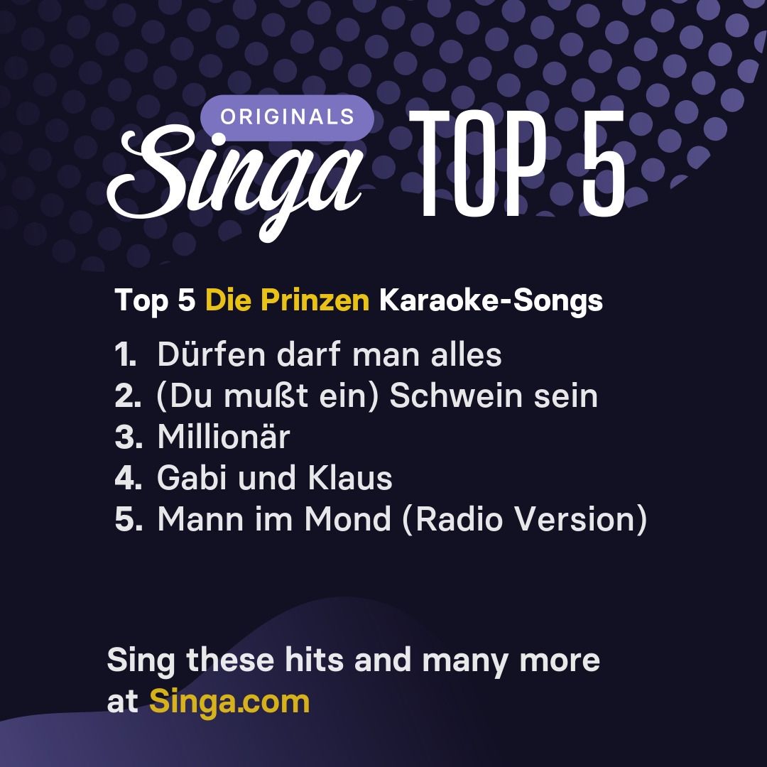 Top Karaoke-Songs von Die Prinzen auf Singa.