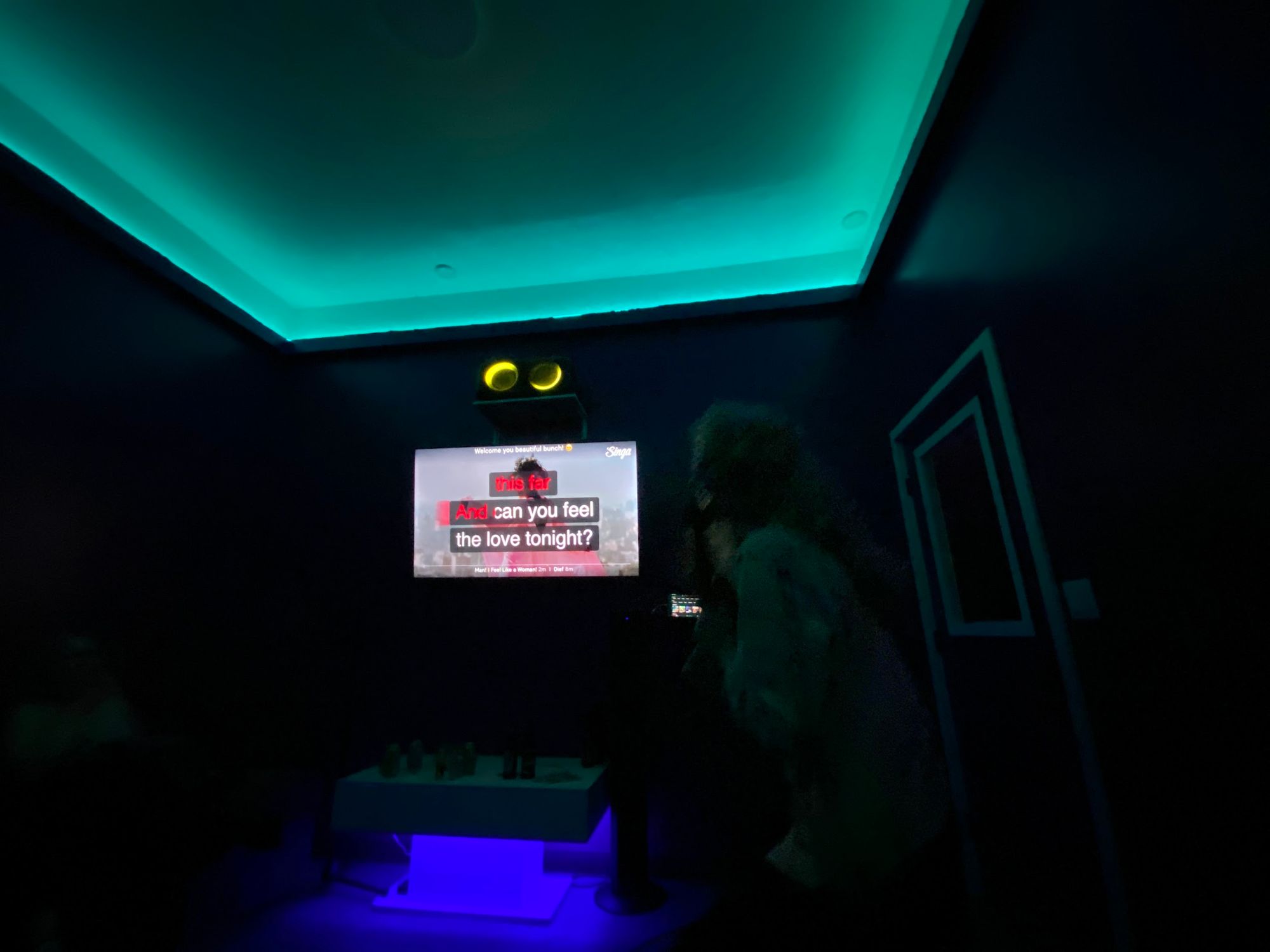 A private karaoke room at Culver Karaoke