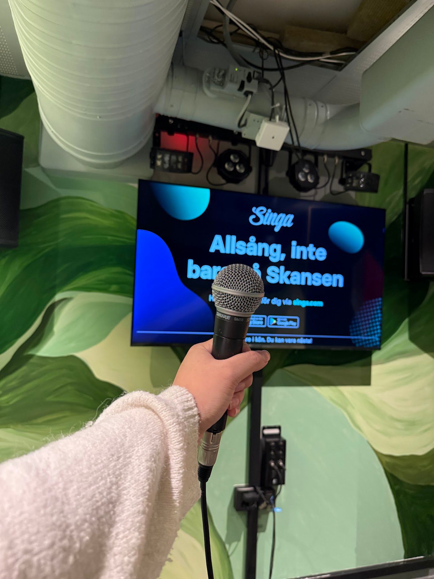 Guests enjoying a karaoke session at Sångfågeln