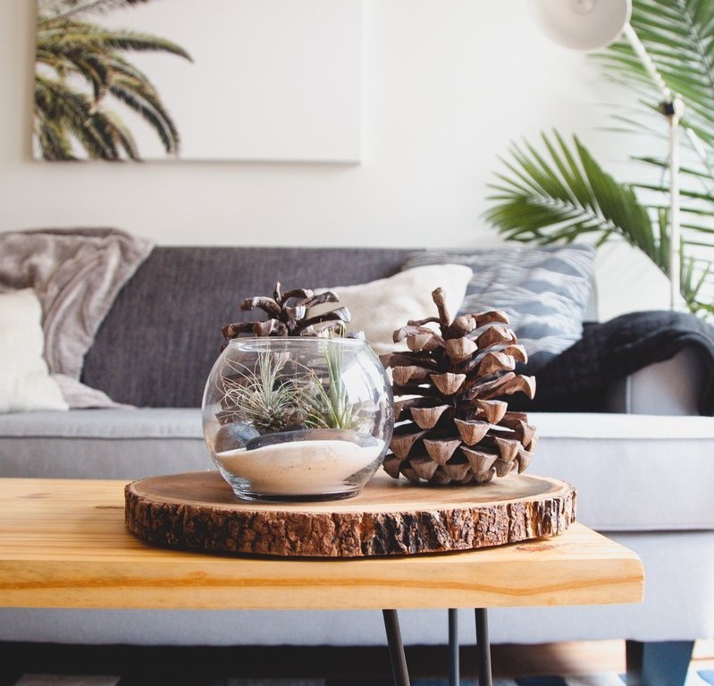 biofiilinen suunnittelu