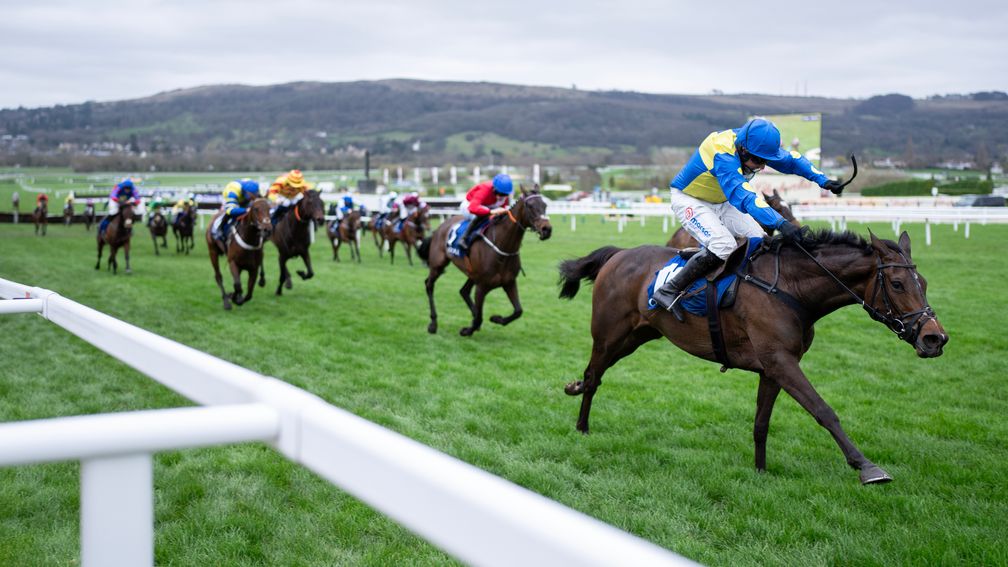 Image for Dan Skelton pays tribute to dual Cheltenham Festival winner Langer Dan after his death