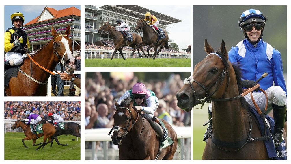 Frankel flourishes, Queen's coronation and photo-finish drama: five blockbuster moments from York's Ebor festival | Racing Post