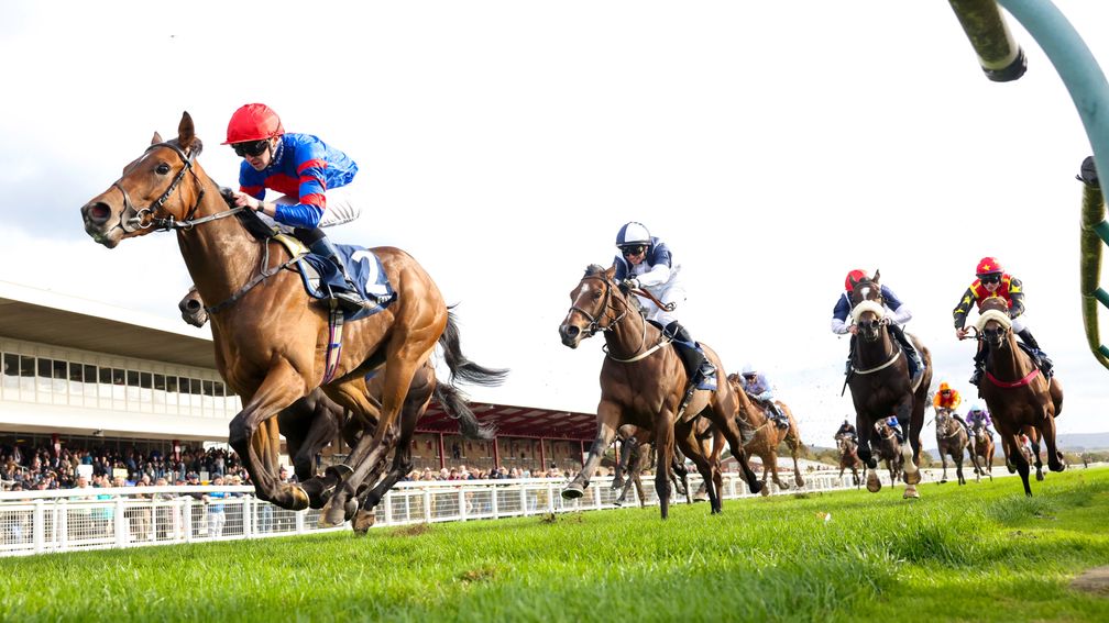 He's such a trojan' - attacking policy pays off as Ardisia lands