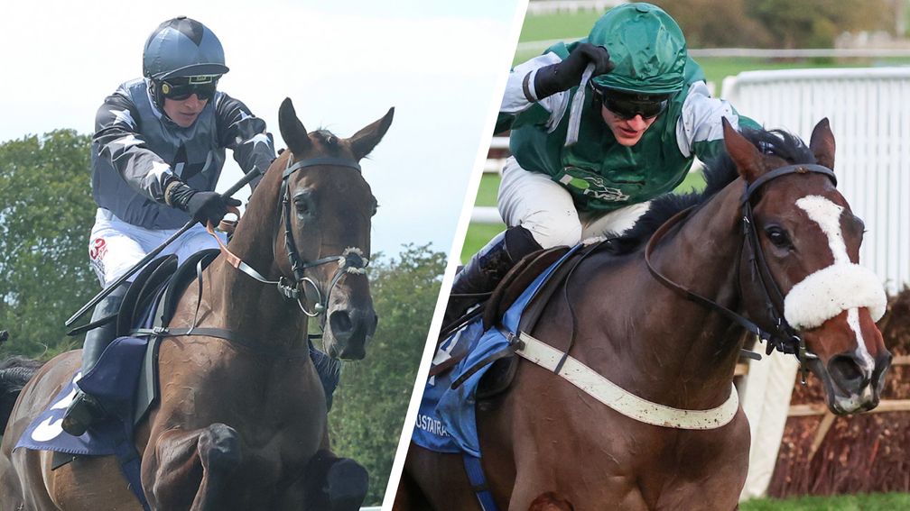 A Grade 2 winner masquerading as a handicapper and a well-treated