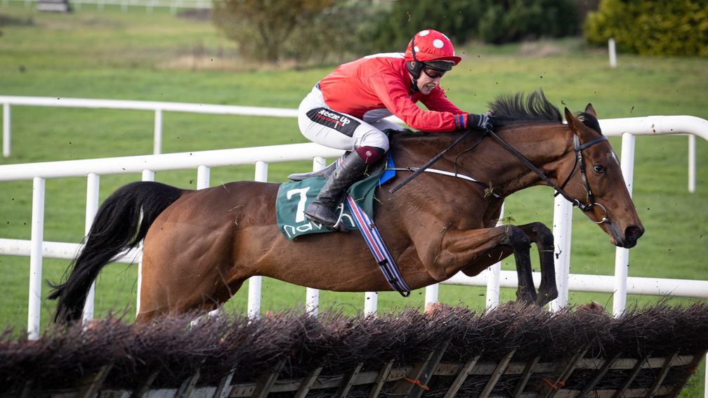 Fifth time lucky for Home By The Lee as he finally claims Stayers' Hurdle  crown in 33-1 shock for Joseph O'Brien | Racing Post