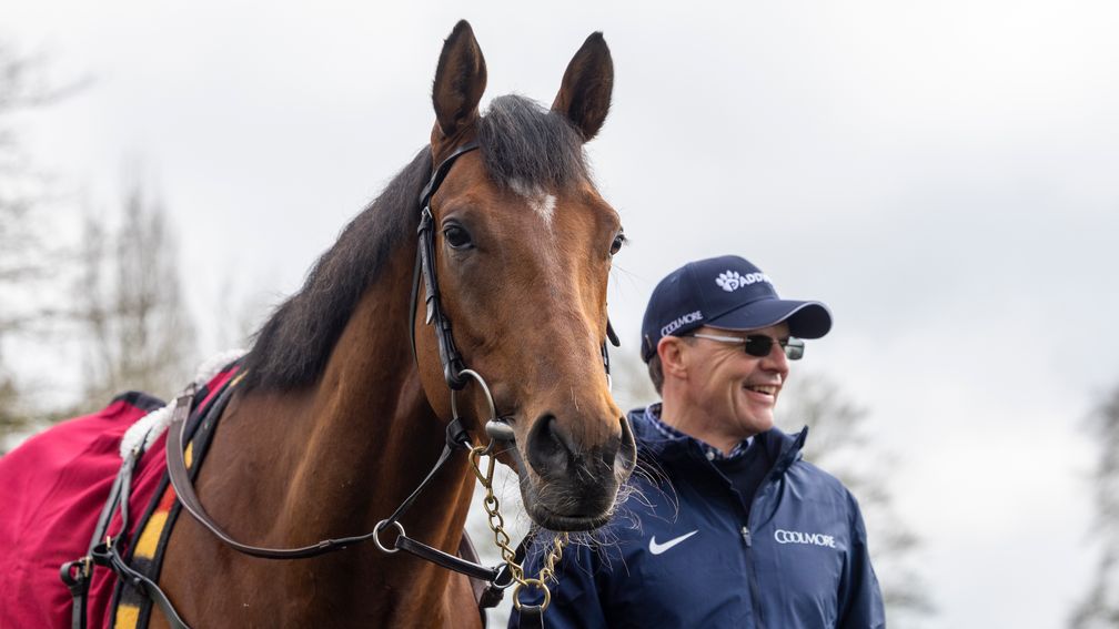 He always looked a bit different' - Aidan O'Brien maps out thrilling three-year-old campaign for unbeaten City Of Troy | Racing Post