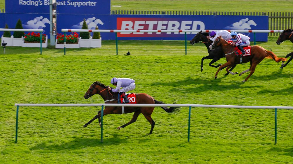 Dolphin Vista winning the Cambridgeshire