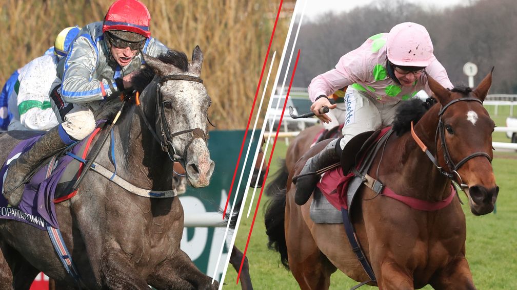 fairyhouse horse racing results