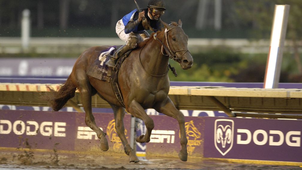 Curlin and Robby Albarado winning the 2007 Breeders' Cup Classic