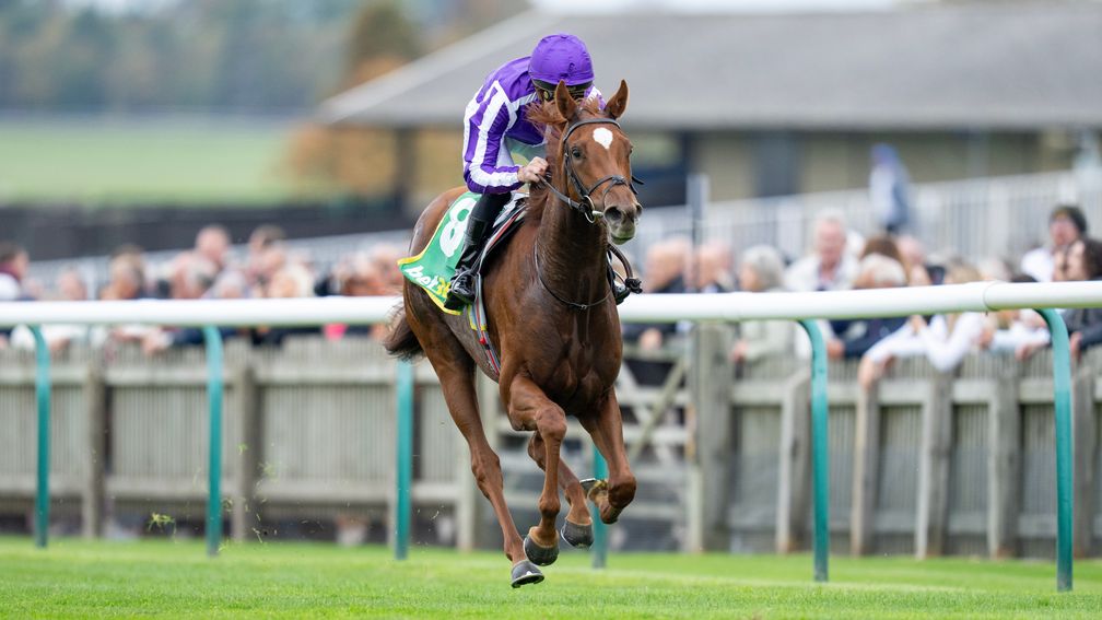 Précis; classée favorite des 1 000 guinées après sa victoire au Fillies' Mile