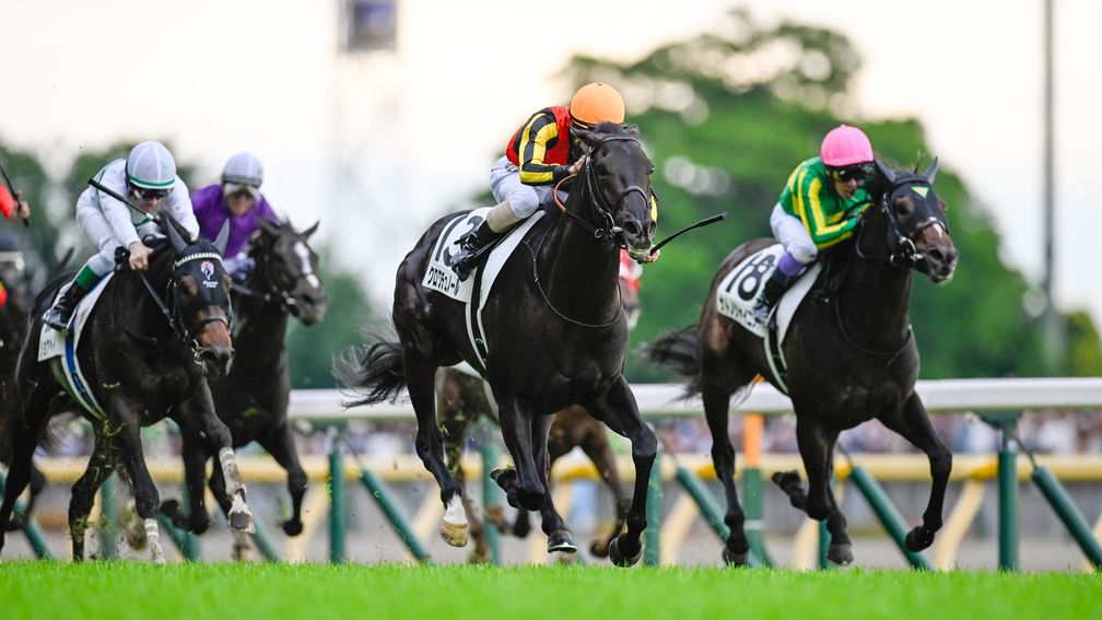 He's proven he's the best of his generation' - Japanese Derby