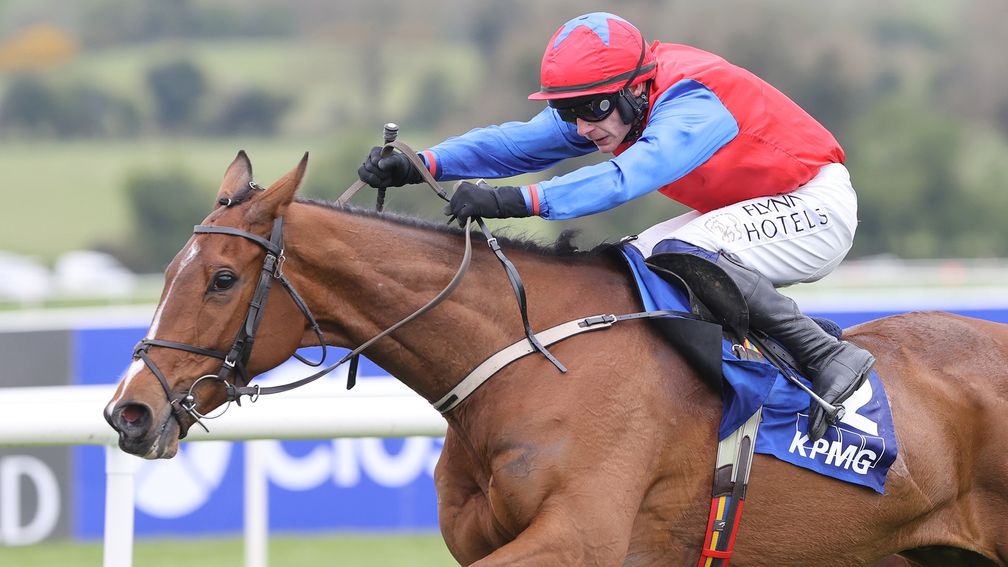 Willie Mullins pays tribute to 'extraordinary' Facile Vega after death of four-time Grade 1 winner | Racing Post