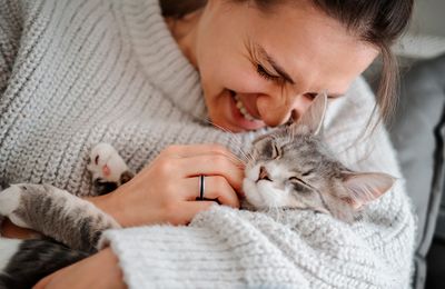 5 cat food buying tips you need to know