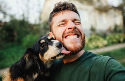 Are you feeding your dog the best pet food?