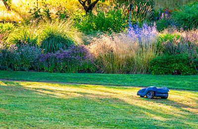 Is it time to buy a robot mower?