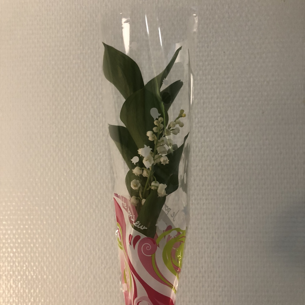 franprix小羊毛