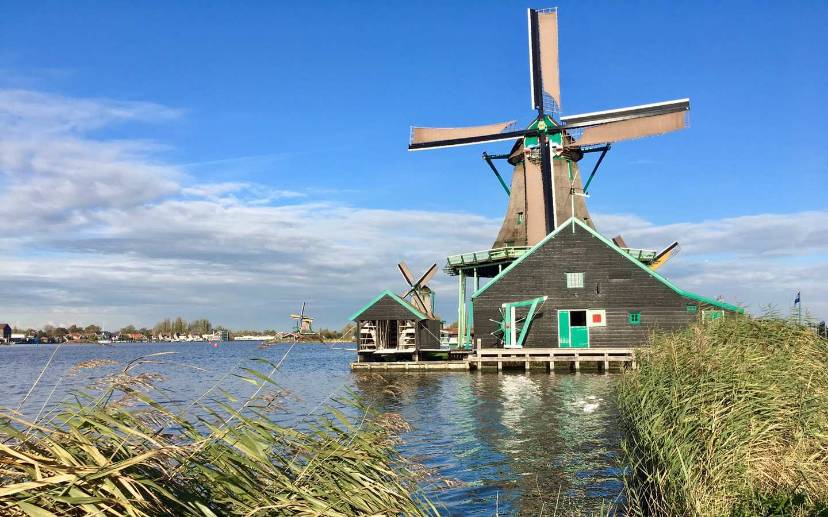 Holland 我来啦