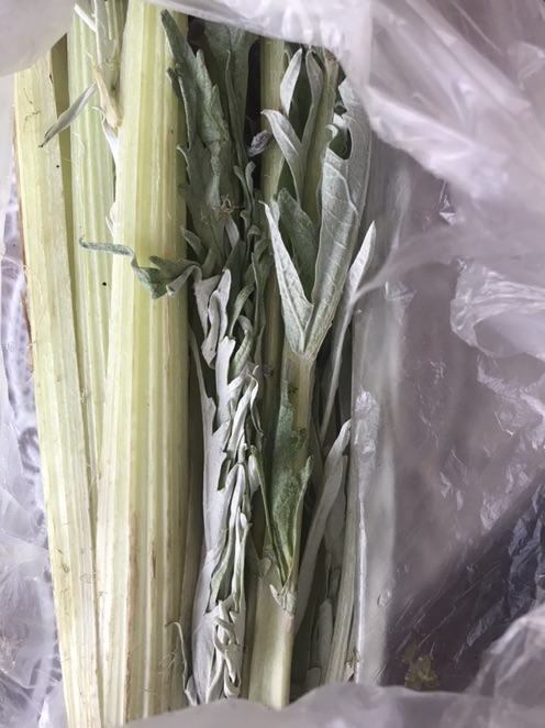 今日份新知识：蔬菜词汇量+1
