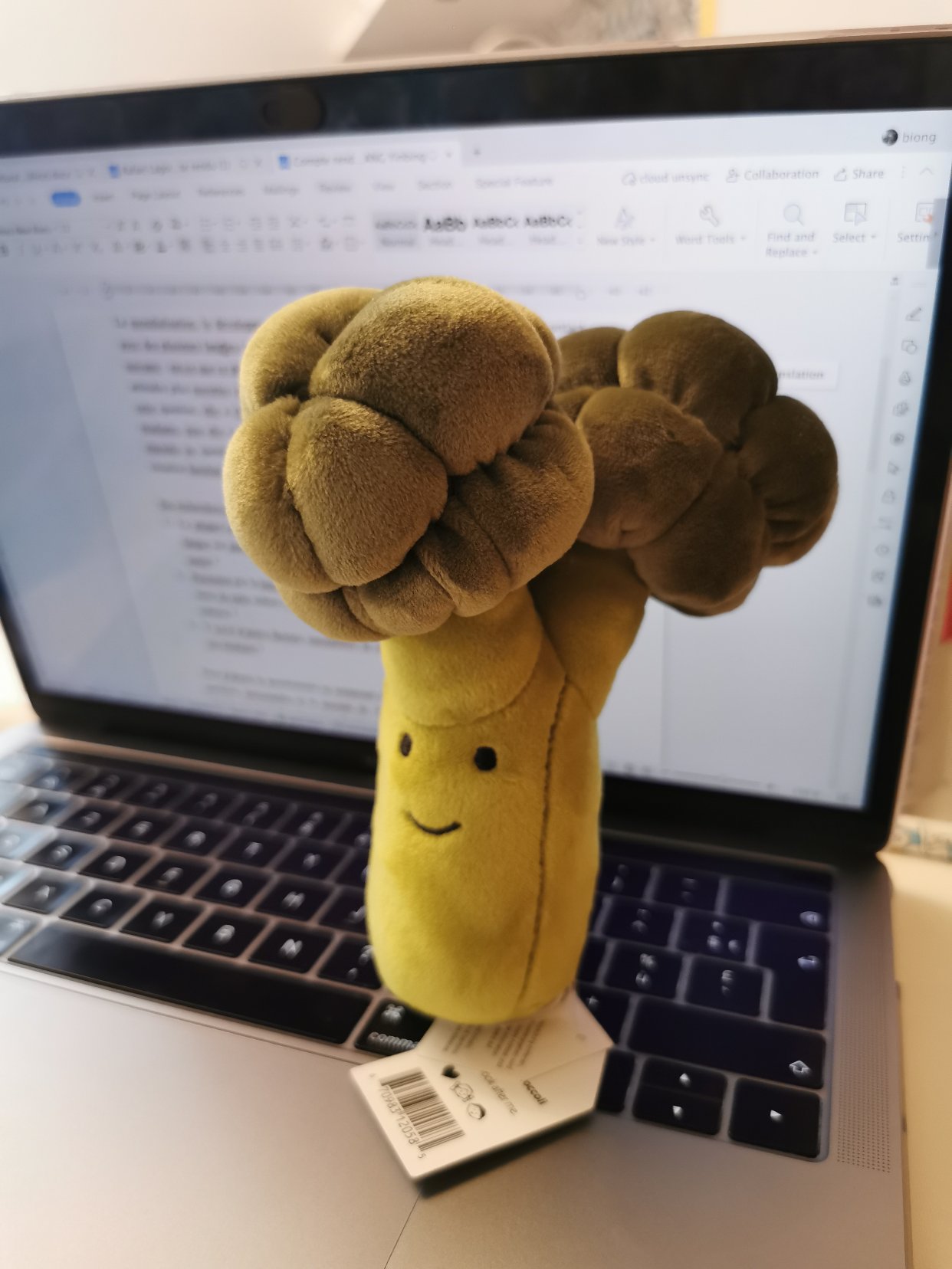 圣诞礼物开箱！