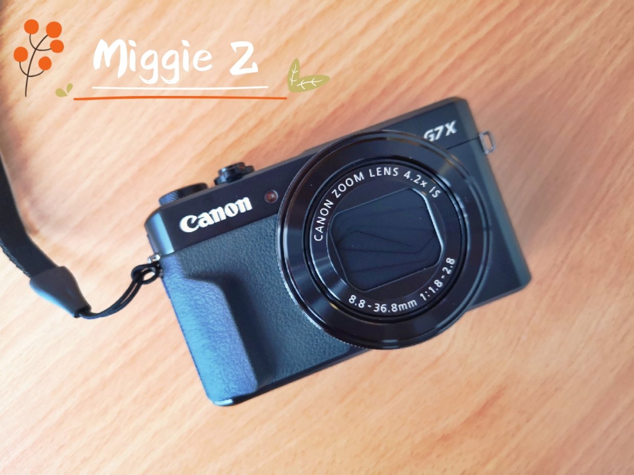 📷Canon G7 × Mark 2，最大一只羊🐏
