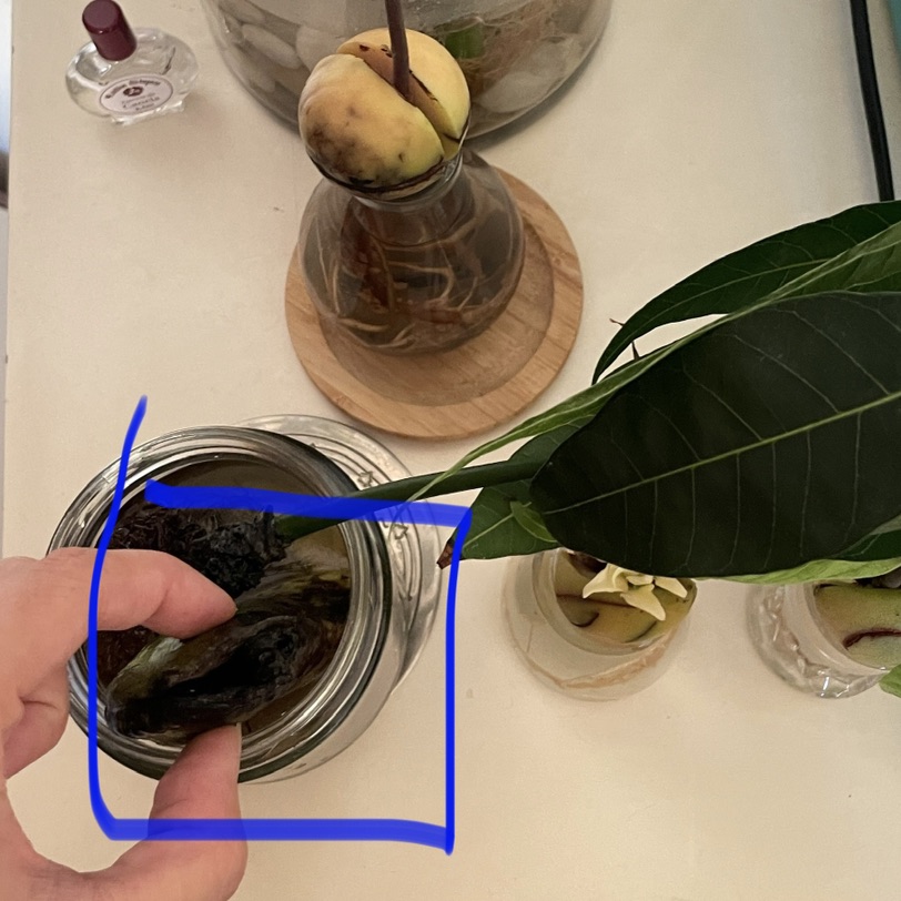 吐槽一下婆媳矛盾