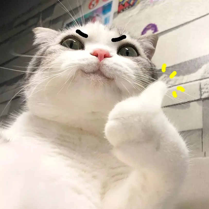 有效对抗湿疹过敏
