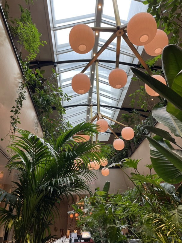 一家法国餐厅推荐Alcazar