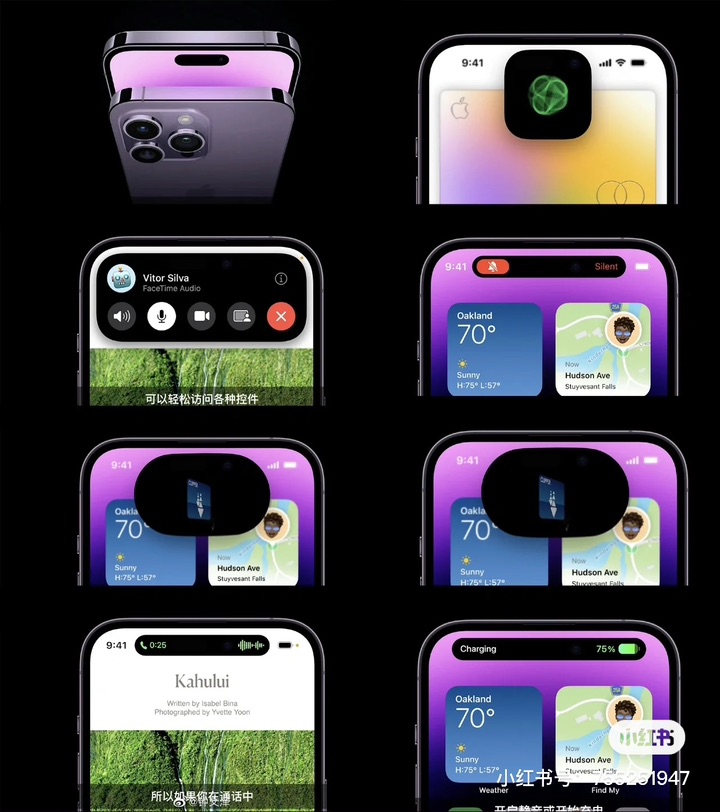iphone14系列我最爱的两点🌟 