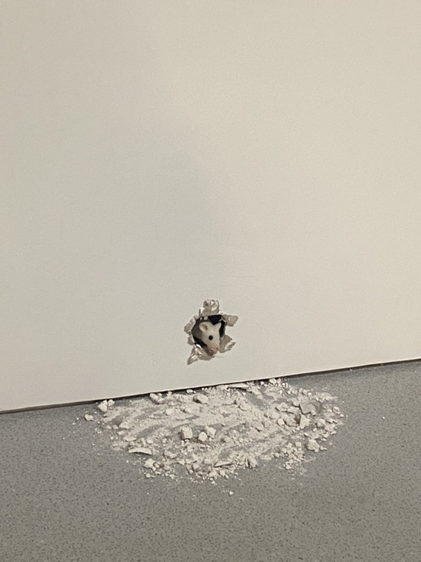 美签是有毒吗