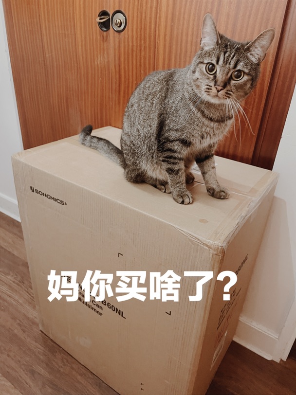 被垃圾桶砸肿N次手之后，终于斥巨资买了梦中情桶
