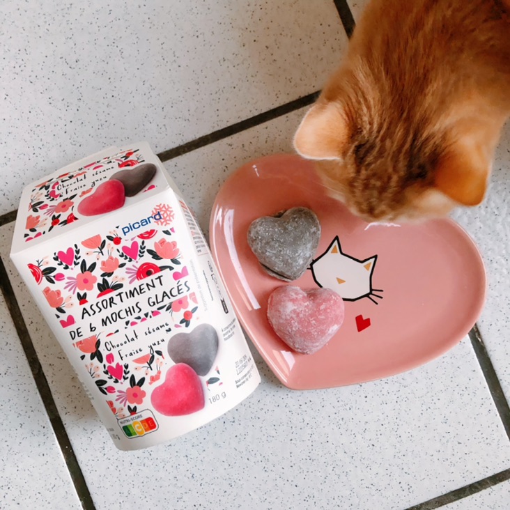 小猫咪也喜欢Picard情人节mochi 