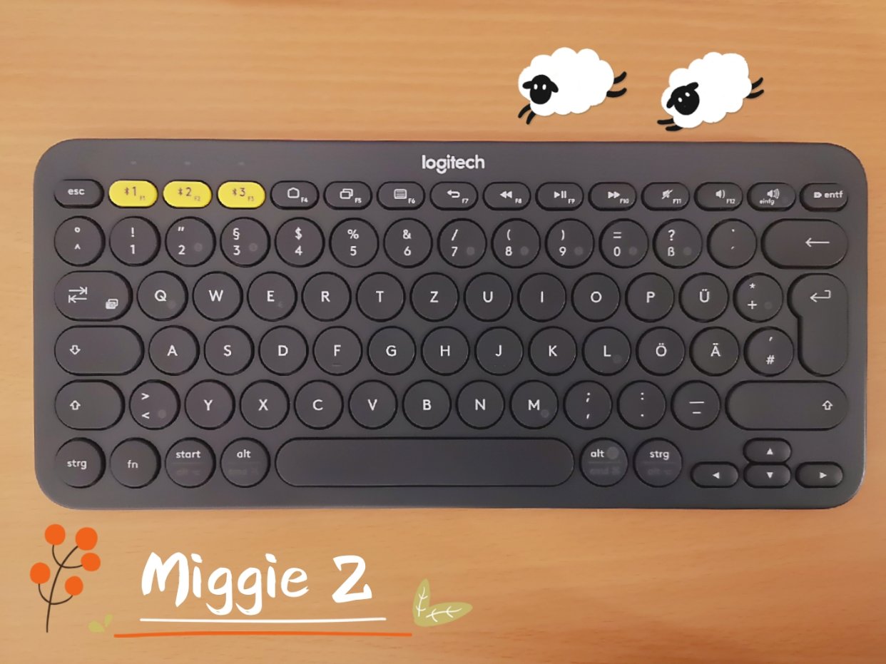 码字党的爱用好物🐸Logitech蓝牙键盘使用体验🐳