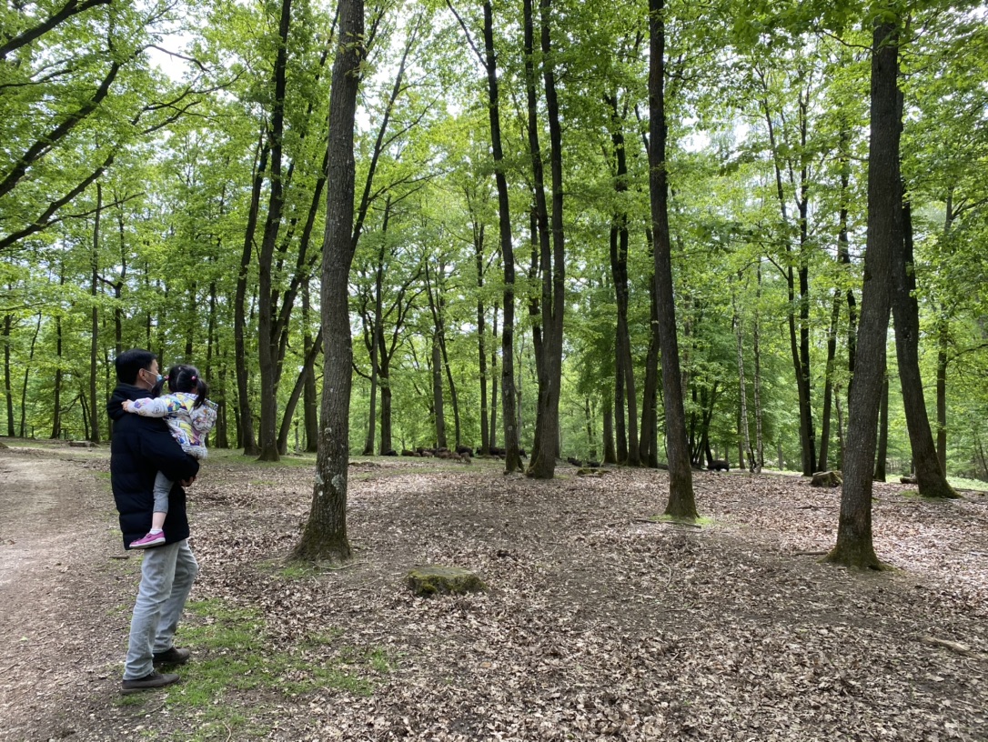 Espace Rambouillet森林探险