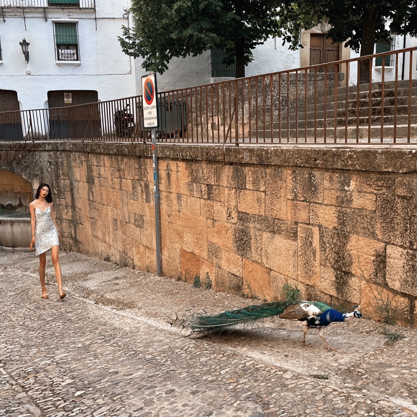 我爱Andalucía ❤️